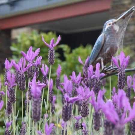 Maymorn Orchard Suites Upper Hutt Eksteriør bilde