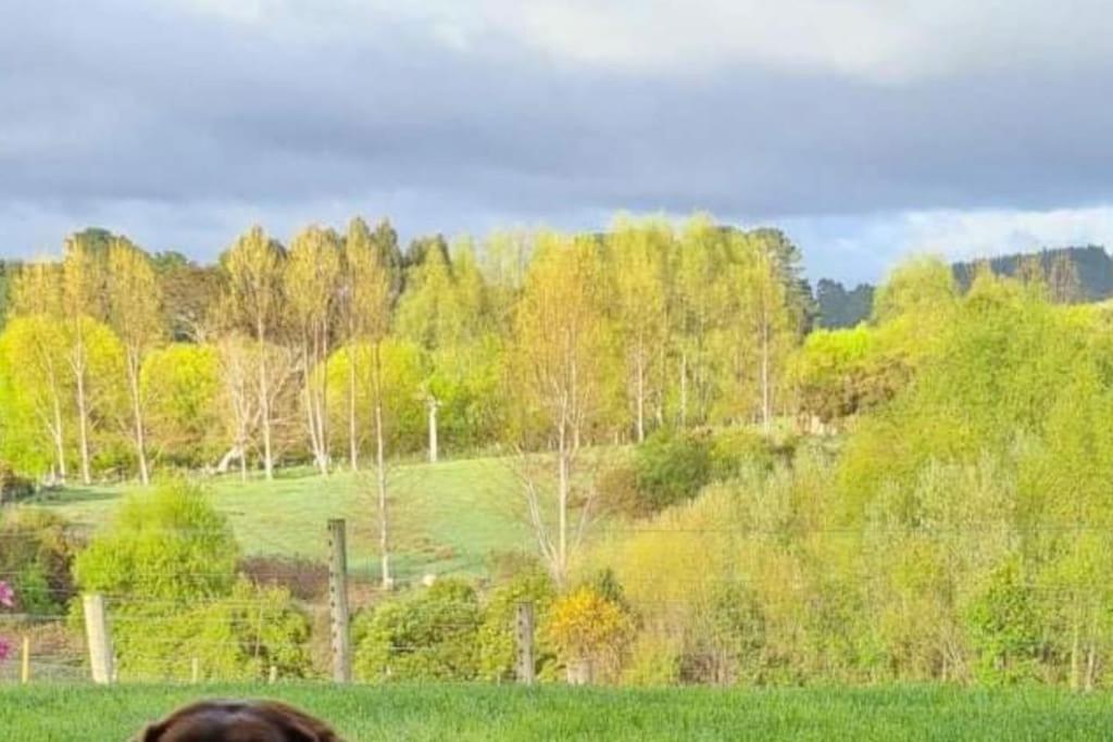 Maymorn Orchard Suites Upper Hutt Eksteriør bilde