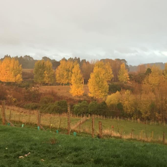 Maymorn Orchard Suites Upper Hutt Eksteriør bilde